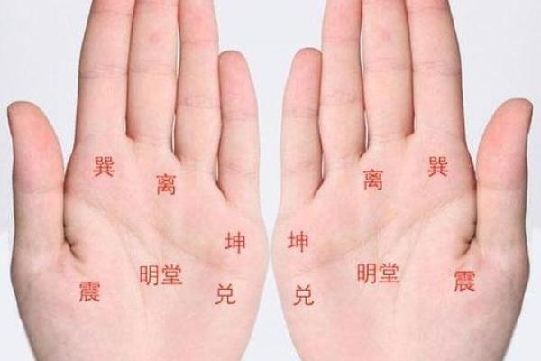 看手相时左手和右手有何不同？手相学的基本原理解析