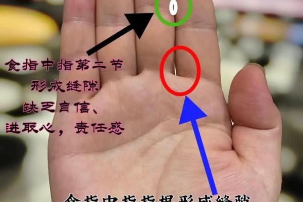 手相学的奥秘：掌纹如何揭示你的潜力