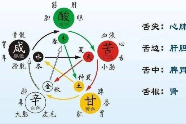 五行属性对性格的影响：从木火土金水看你的人生轨迹