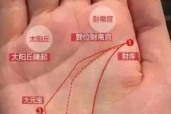 富贵手相图片中的财富线如何影响你的生活