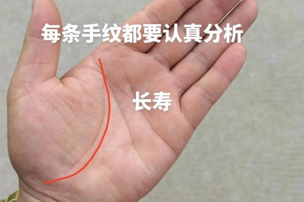 掌握手相分析图，探索内心深处的秘密