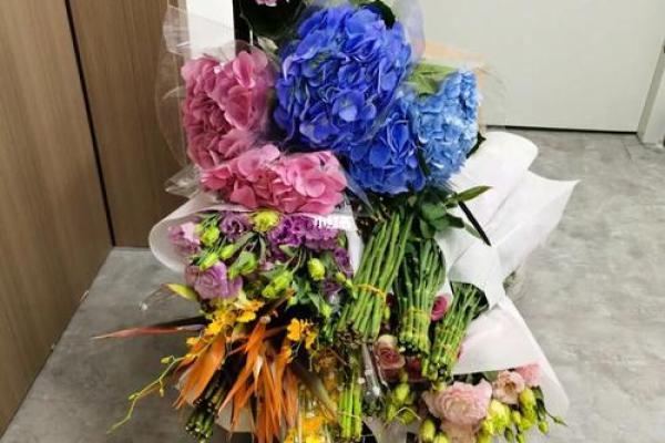如何通过办公室养花改善职场气运