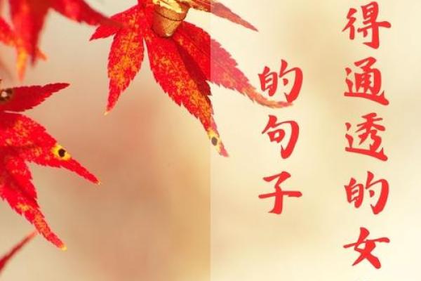 探索心命理的奥秘：如何通过命运与内心找到人生的平衡