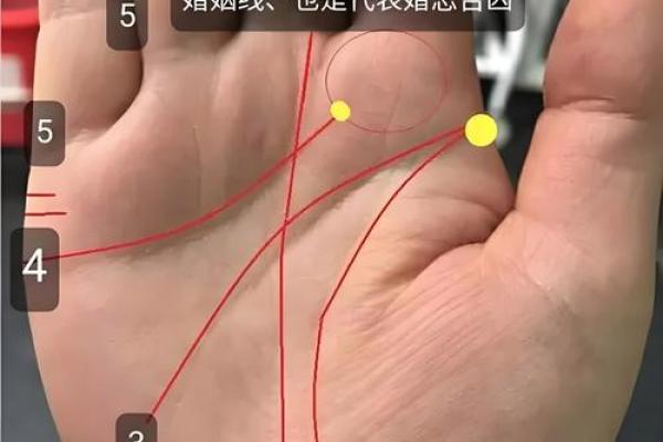 探索命理学的奥秘 揭开人生的运势密码