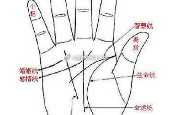 揭秘看手相男的性格特征与命运走向