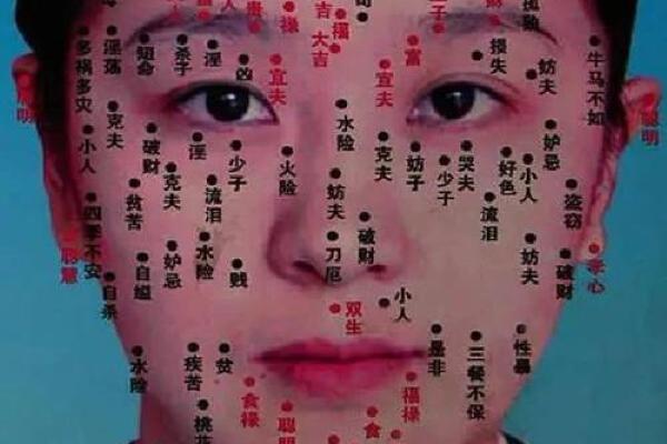 揭秘痣相花：影响命运的关键痣点