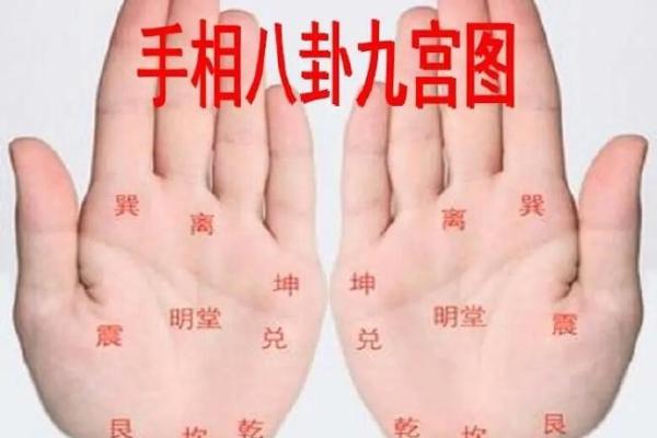 免费手相解读：掌纹中隐藏的财富密码