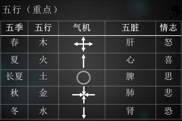 张媛媛名字解析：五行八字与性格特征的深度关联
