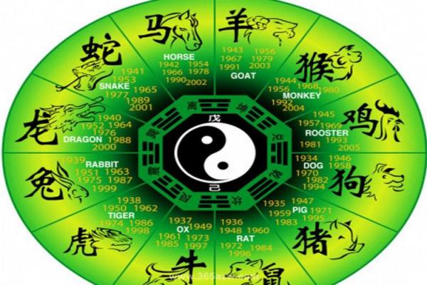 深入浅出风水教材：打造和谐生活空间的秘诀