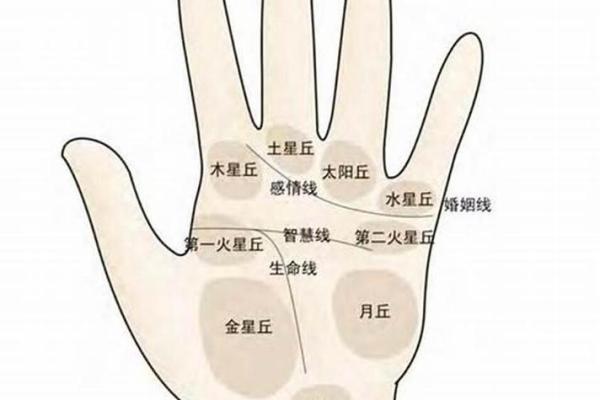 探索手相学：男左女右到底是什么意思