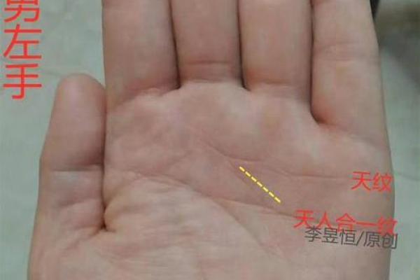 看男生手相：揭示左右手的独特含义
