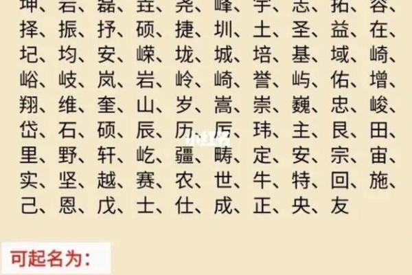 起名文化中的生肖寓意与命理探索