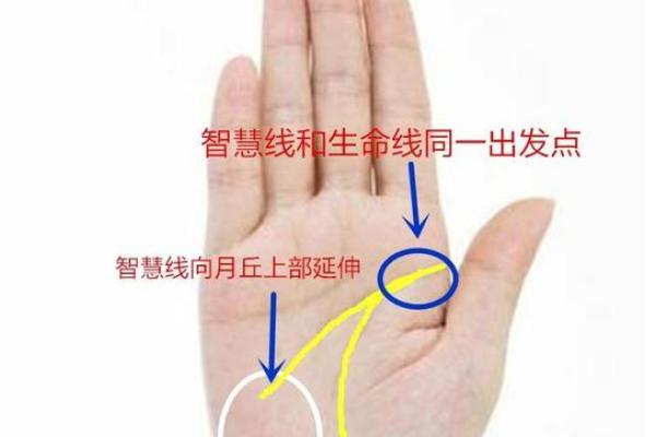 免费八字算寿终预测，揭示生命的终极走向