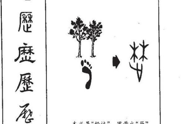 张瀚文名字评分与解析：揭示名字背后的寓意与影响