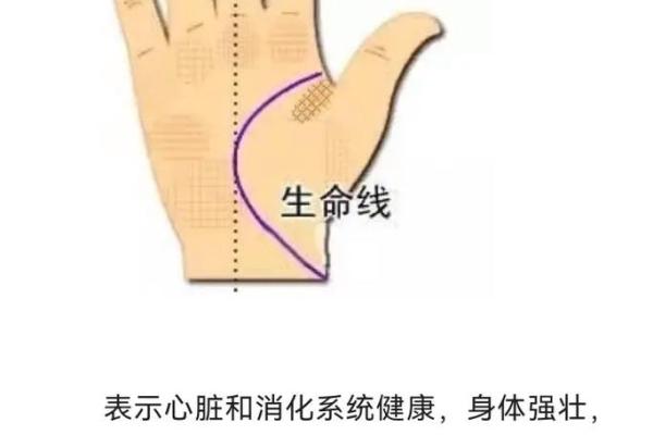 免费手相测试，掌握你手中的命运线