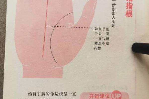 免费手相测试，掌握你手中的命运线