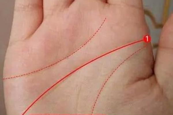 漏财纹手相解析：揭示你财富运势的秘密