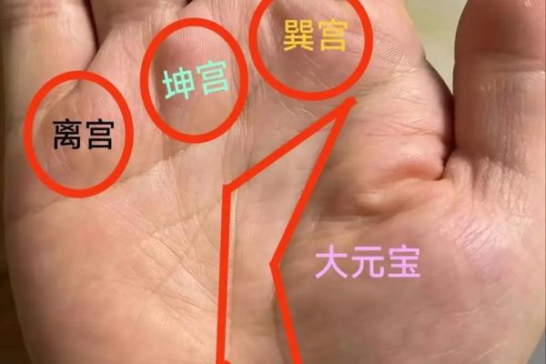 漏财纹手相解析：揭示你财富运势的秘密