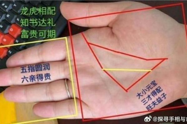 女人手相中的七个财富象征