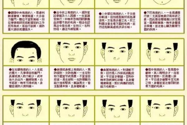 痣相九夫的含义及其在命理学中的解释