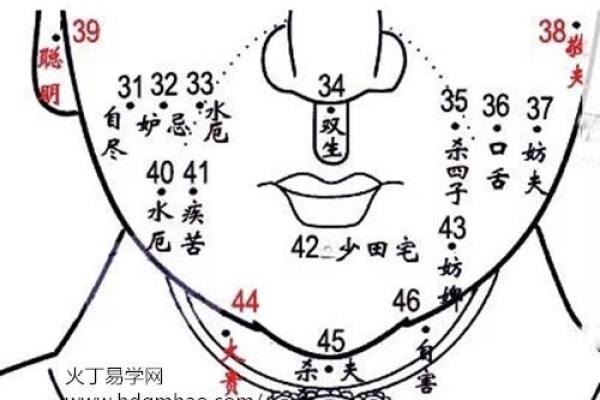 探讨徐峥命理中的五行平衡与个人命运
