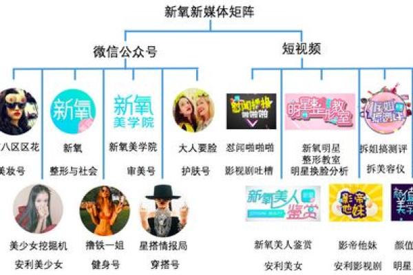 提升公众号曝光度的命名策略
