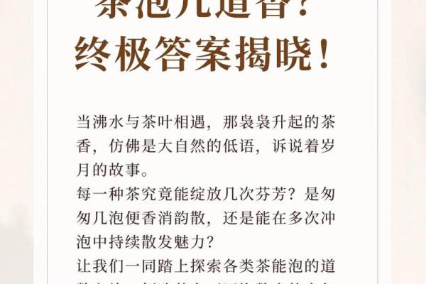 福建茶文化的传承与创新：一杯茶的故事
