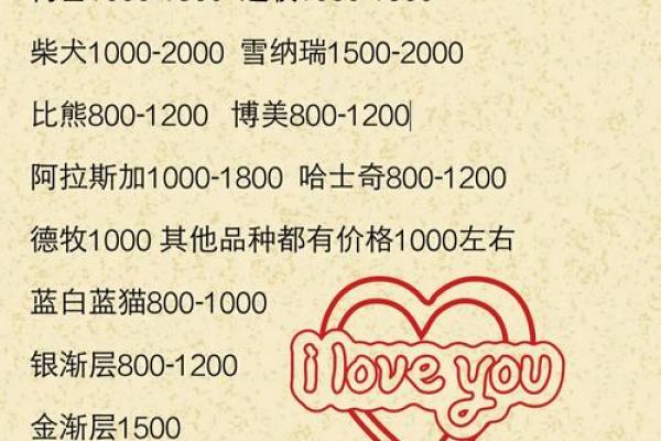 宠物名字的选择技巧：如何让名字更具特色