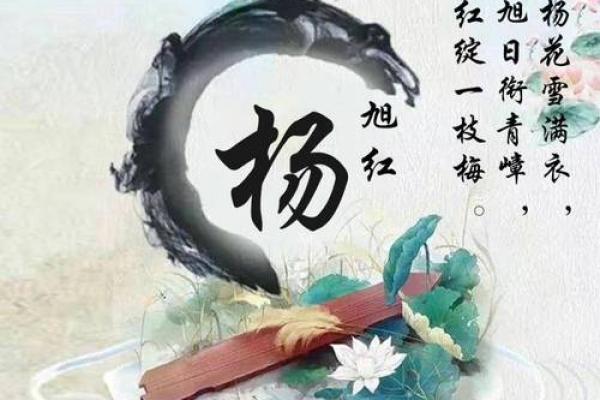 杨姓男孩名字大全：寓意美好与个性并重