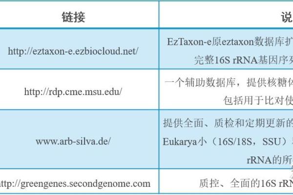 选择罗氏名字时需要注意的五大关键因素