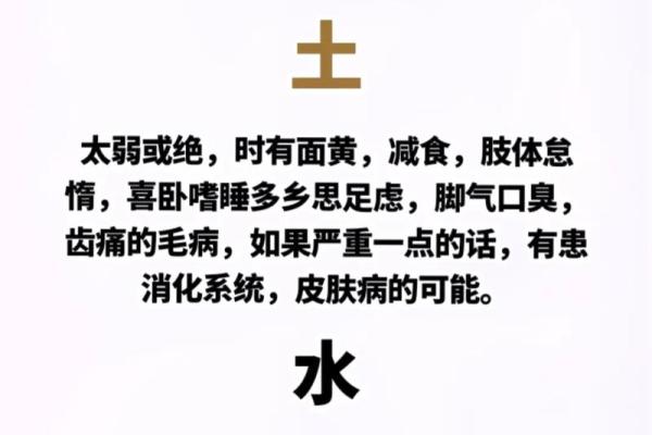 探索河洛水命理中的五行智慧