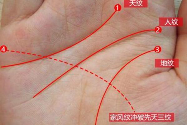 探索未来的秘密：免费测手相服务助你一臂之力