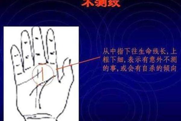 探索未来的秘密：免费测手相服务助你一臂之力