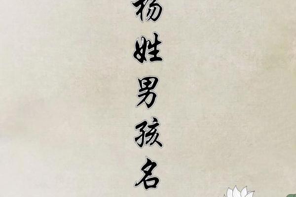 杨姓男孩取名常见误区与注意事项