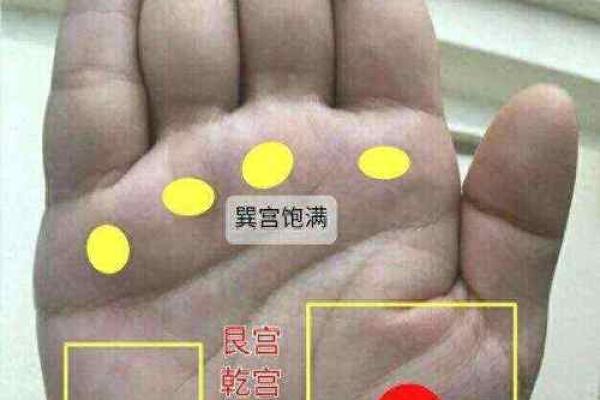 好的手相如何影响个人的健康与幸福