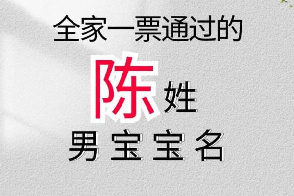 如何为陈姓宝宝取一个既有文化底蕴又符合时代感的名字
