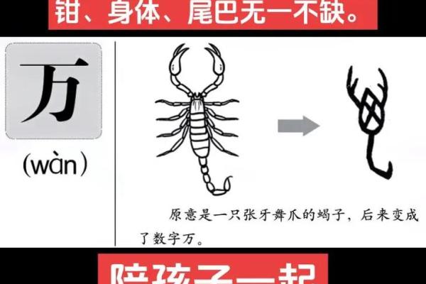 八字头的字有哪些？解析常见字形与含义