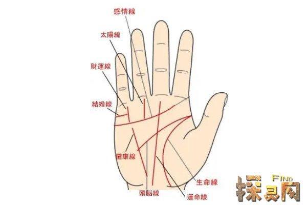 手相是否科学：解读手相命理的真实性与可信度