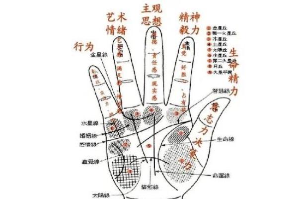 如何通过看手相判断命运选择哪只手更为准确