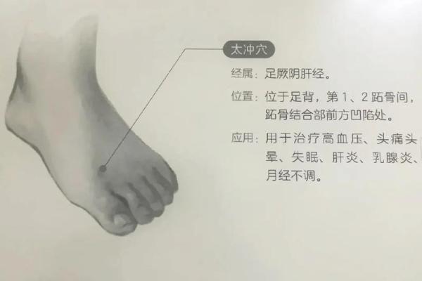 五行与健康：如何通过五行调养身体和心理