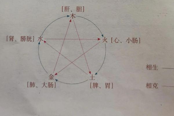五行与健康：如何通过五行调养身体和心理