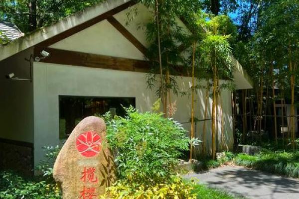 家居风水培训：打造和谐舒适的居住环境