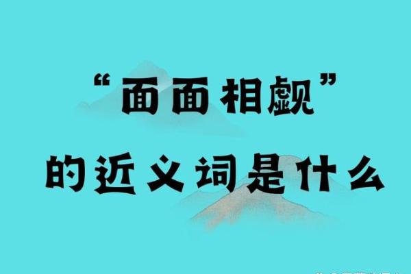 面面相看：从文化角度探讨沟通与互动