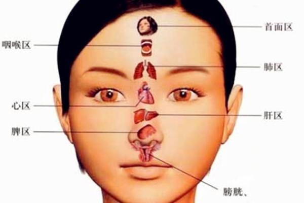 面面相看：从文化角度探讨沟通与互动