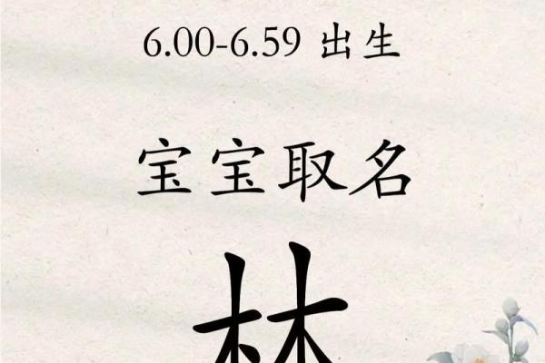 林姓女宝宝起名推荐大全 经典与寓意兼备的名字选取指南