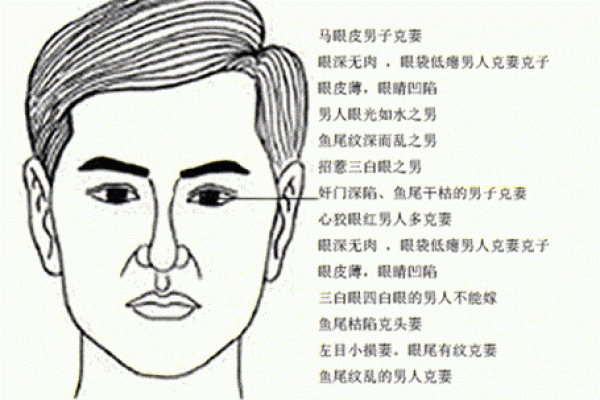十大算命软件推荐，了解未来的神秘力量