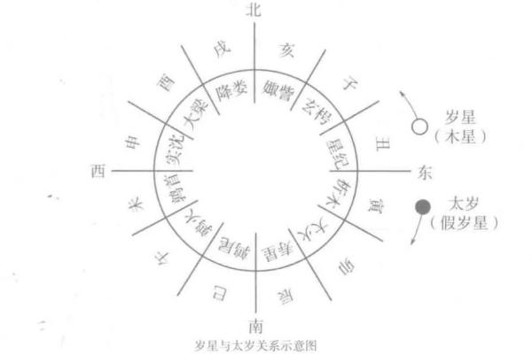 天干地支的深层次联系与应用解析