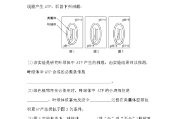 天干地支的深层次联系与应用解析