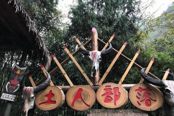 走进壮族世界：揭开其悠久历史与独特风貌