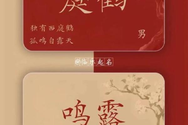 让诗词的韵律为女宝宝命名增添光彩